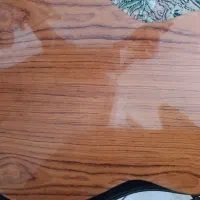 گیتار سانچز