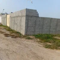 گورگ زائر ابراهیمی