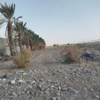 فروش-زمین