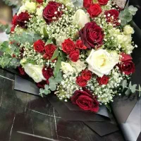پخش گل|گل و گیاه طبیعی|مشهد, امیر|دیوار