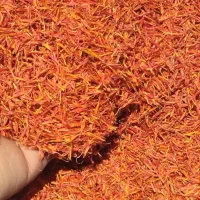 خرید و فروش عمده گل گلرنگ وکاه ودانه گلرنگ