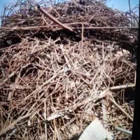 واحد خرید ضایعات