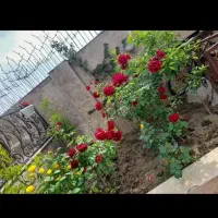 فروش ویلا.. 3خواب. مرکز شهر سند تک برگ