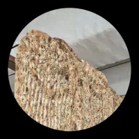 نیازمند شاطر بربری واسه فری تنوری