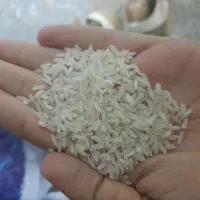 برنج پاکستانی آرسیکس