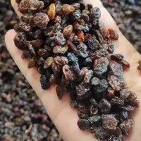 کشمش گوشتی بدون هسته بی دانه