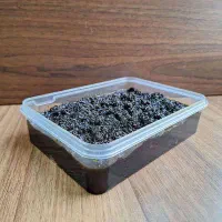 بادمجان کبابی سرخ شده سبزی قرمه پیاز