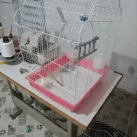 قفس پرنده