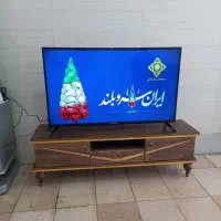 تلوزیون ال ای دی اسنوا 49  اینچ
