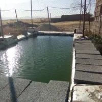 یک قطعه زمین مسکونی روانسر روستای دهباغ