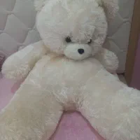 خرس|اسباببازی|گرگان, |دیوار