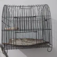 قفس سهره و....