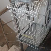 قفس پرنده