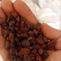 کشمش افتابی درجه ۲