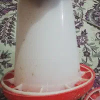 سلام سه تا دانخوری متوسط.یک بزرگ  4تا آبخوری متوسط