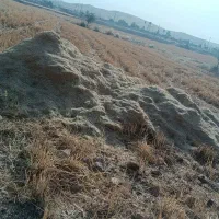 کاه کوپه ای