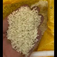 برنج چمپا