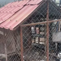 قفس سگ