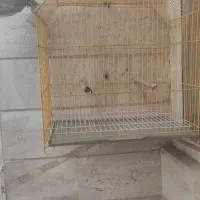 دو عدد قفس