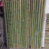 پنل بامبو