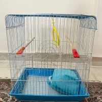 قفس پرنده