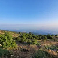آگهی زمین مسکونی هزارجریب