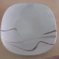 ظروف چینی مقصود