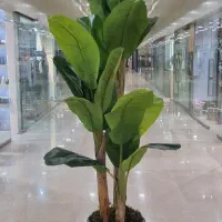 درختچه موز مصنوعی ۲/۵ متری