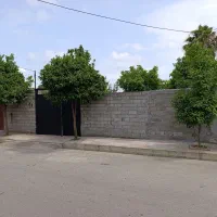 زمین-مسکونی-202-5-متر-سند-شش-دانگ-تک-برگ