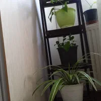 استند چوبی چهار طبقه گل و دکوری