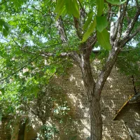 فروش خانه روستایی