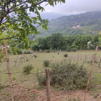 جاده دالخانی آغوزکی