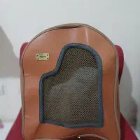 کوله حمل گربه