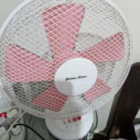 پنکه