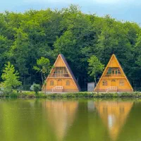 کلبه‌های جنگلی جذاب، لب‌دریاچه گیسوم