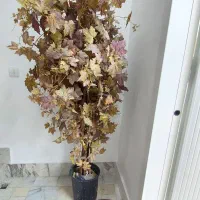 درختچه