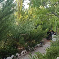 باغشهر-پردیس-دالین-سپیدان