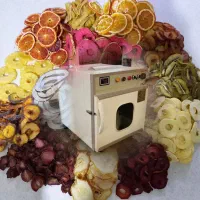 دستگاه خشک کن میوه چند کاره ۱۰ طبقه دوگانه سوز