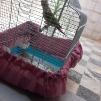 فروش