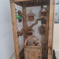 قفس پرنده