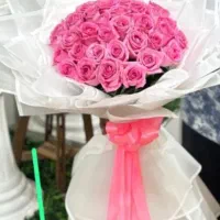 رز هلندی با کیفیت فقط شاخه ۴۹ هزار تومان