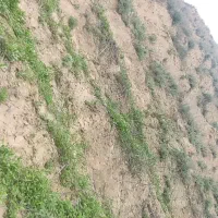 زمین-کشاورزی