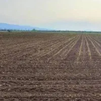 زمین-ویلای-باغی-فروشی-در-نزدیکیه-رودخانه
