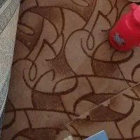 موکت