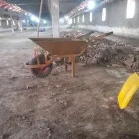 فروش کودمرغی و بذر  نقدنسیه
