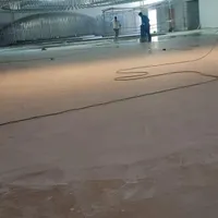 ۲ نفر کارگر آقا جهت کارکفسابی