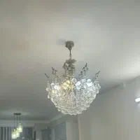 یه. عددلوستر10شاخه طلای