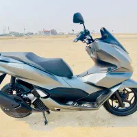 Pcx1602023|موتورسیکلت|بندر دیر, |دیوار