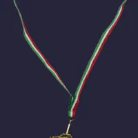 مدال همگانی