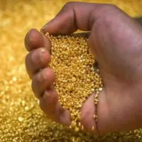 با نصب ملی گلد 5 سوت آنی طلا جایزه بگیر